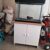 فروش اکواریوم k800 دلسا و میز و نور تهران شریمپ|ماهی|شیراز, فرهنگیان|دیوار