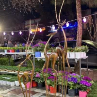مجسمه غزال چوبی لوکس (ارتفاع ۱۷۰ و ۲۷۰ سانت)  ‌