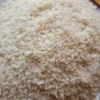 برنج هاشمی درجه 1 تضمینی|خوردنی و آشامیدنی|اشتهارد, |دیوار