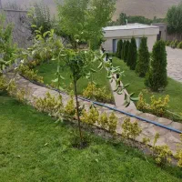 هرس تخصصی  فرم دهی و باردهی  درختان میوه