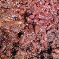 خرما مال خوار درجه ۱