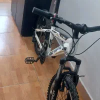 دوچرخه حرفه ای 20