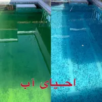 جارو استخر احیا استخر شفاف سازی آب استخر ضد عفونی|خدمات نظافت|چهارباغ, |دیوار