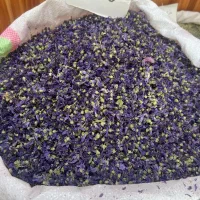 پخش عمده تخم گشنیز اعلا و رازیانه سبز اعلا وغیره|خوردنی و آشامیدنی|تهران, تهرانسر شمالی|دیوار