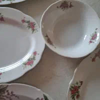 پنج عدد دیس غذا خوری و یک کاسه