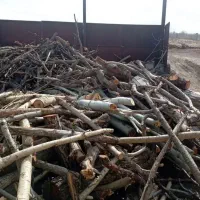 درخت و چوب شما را با بالاترین قیمت نقدی خریداریم|خدمات باغبانی و درختکاری|مشهد, کلاهدوز|دیوار