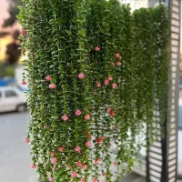 شمشاد|گل مصنوعی|تبریز, |دیوار