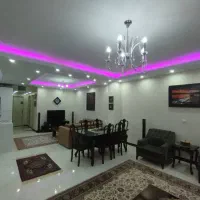 شخصی-ساز-سفیدار-جنوبی