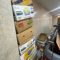 فروش کارتن موز