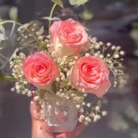 گل خاص برای مناسبت های خاص|گل و گیاه طبیعی|اصفهان, پروین|دیوار