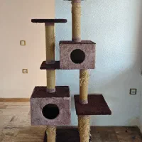 خانه گربه