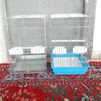 12مدل قفس عروس هلندی،کاسکو،گرینجیک،مینا،۴۲و۵۲|لوازم جانبی حیوانات|شیراز, کوی زهرا|دیوار