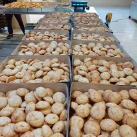 شیرینی نارگیلی ممتاز|خدمات پذیرایی، مراسم|مشهد, شهرک صنعتی توس|دیوار