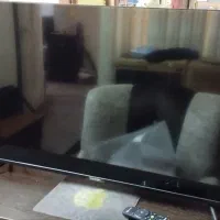 تلویزیون 43اینچ|تلویزیون و پروژکتور|شوشتر, |دیوار