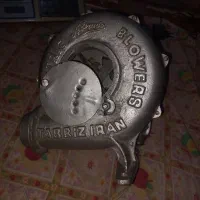 فن باربیکیو
