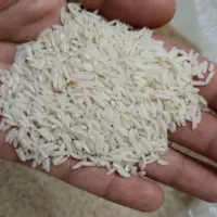 برنج هاشمی محصول خودم