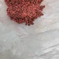 بذر چغندر|عمده‌فروشی|کوهدشت, |دیوار