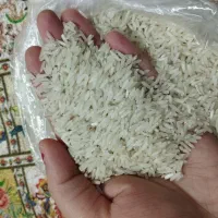 برنج طارم هاشمی دونوج|خوردنی و آشامیدنی|محمودآباد, |دیوار