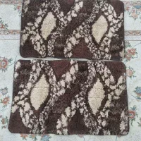 دوعدد پادری