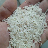 برنج معطر خوشپخت درجه۱