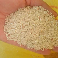 انواع برنج شیروان