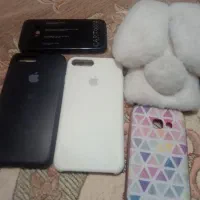 ۵عددقاب گوشی|لوازم جانبی موبایل و تبلت|تربتحیدریه, ترمینال|دیوار