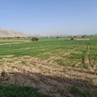 اجاره یک هکتار و  ۴۰۰۰ متر زمین چسبیده به کانال آب