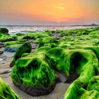 تور پارسیان.شیراز.مارو.