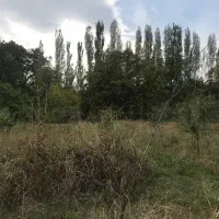 باغ فیرورق|فروش زمین و ملک کلنگی|فیرورق, |دیوار