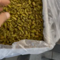 کشمییش خیل اباد