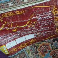 دو تخته فرش ناردون اصلی همراه شش تا پشتی|فرش|کامیاران, |دیوار