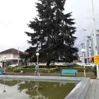 جذب نیروی کار (آقا) در شرکت
