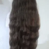 کت مو|موکت|شوشتر, |دیوار