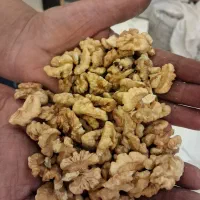 مغز گردوی اصل تویسرکان