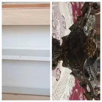 پایه ی نصب تلویزیون،کابینت،کاسه میوه