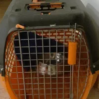 باکس بزرگ و جادار در حد نو با طرف غذا و دستشویی