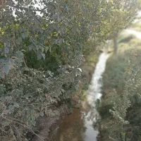 باغ انار|فروش زمین و ملک کلنگی|سلفچگان, |دیوار
