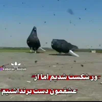 گمشده