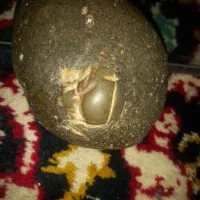 سنگ اسمانی|کلکسیون اشیاء عتیقه|بیجار, |دیوار