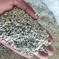 گلرنگ|عمده‌فروشی|رحمت‌آباد, |دیوار