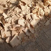 نون خشک تمیز