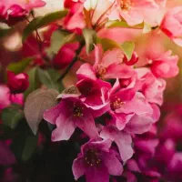 از اهر برای رفتن آزمون تصدی منصب قضا