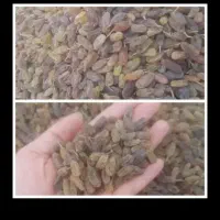 کشمش سایه خشک صد درصد ارگانیک