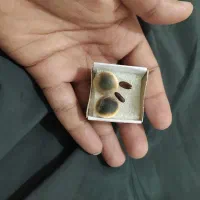 مهره کلکسیونی