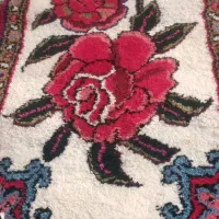 دوعدد پادری خوشرنگ|پادری|تبریز, |دیوار