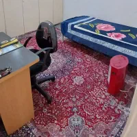 2 عدد فرش 12 متری و 9 متری|فرش|کرج, مصباح|دیوار