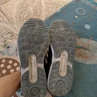 کتونی zx|کیف، کفش، کمربند|باغستان, |دیوار