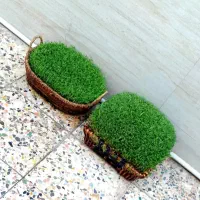 شاد باشید|ماهی|نهاوند, |دیوار