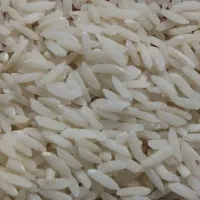 برنج طارم هاشمی