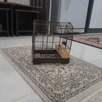 قفس سهره|لوازم جانبی حیوانات|شیراز, نصرآباد|دیوار
